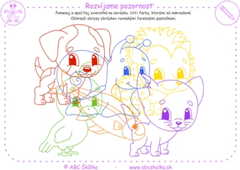 Rozvíjame pozornosť