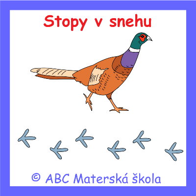 Stopy v snehu